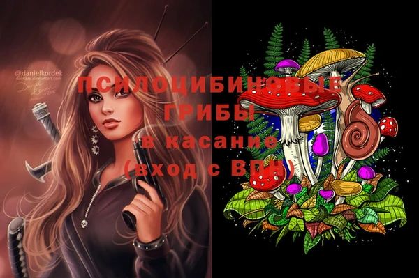 кристаллы Бородино